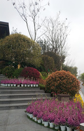 瀘州佳樂(lè)世紀(jì)城歡樂(lè)匯二期及前廣場(chǎng)室外景觀工程