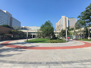 四川大學(xué)華西醫(yī)院景觀綠化改造工程